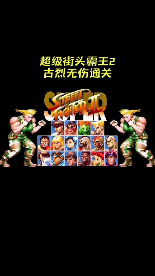 街头小霸王最全游戏攻略解说_街头小霸王最新游戏技巧通关