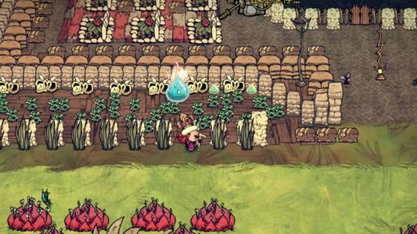 蝶兰花最全游戏攻略解说_蝶兰花最新游戏技巧通关