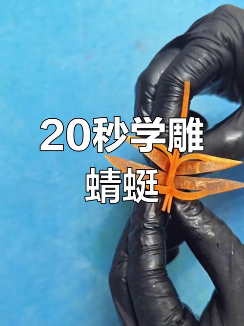 蜻蜓切最全游戏攻略解说_蜻蜓切最新游戏技巧通关