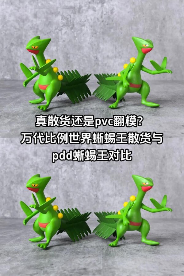 蜥蜴王性格配招最佳搭配攻略_蜥蜴王性格配招最强阵容推荐