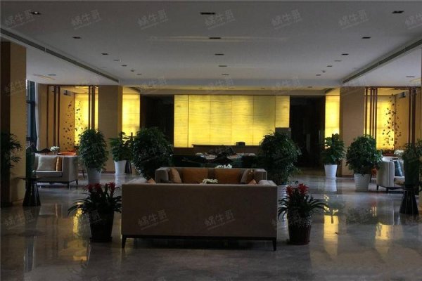 蜗牛哥最全游戏攻略解说_蜗牛哥最新游戏技巧通关