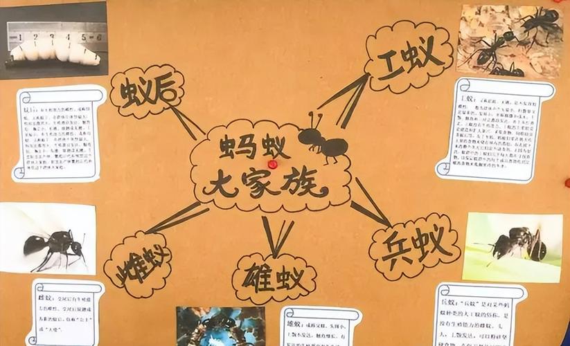 蚂蚁进化最全游戏攻略解说_蚂蚁进化最新游戏技巧通关