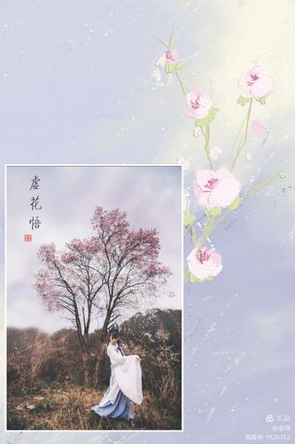 虚花悟最全游戏攻略解说_虚花悟最新游戏技巧通关