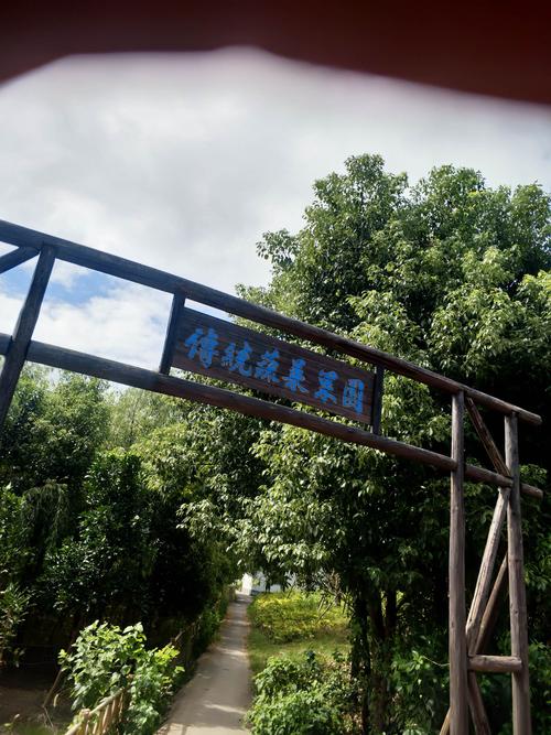 蔬菜果园全流程攻略_蔬菜果园高效通关技巧