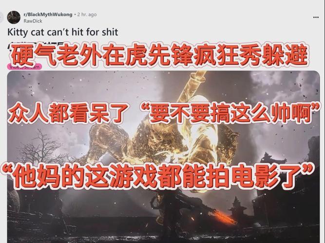 虎最全游戏攻略解说_虎最新游戏技巧通关