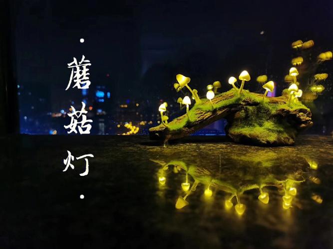 蘑菇灯游戏最全攻略解说_蘑菇灯最新技巧通关