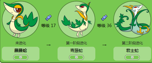 藤皇蛇最全游戏攻略解说_藤皇蛇最新游戏技巧通关