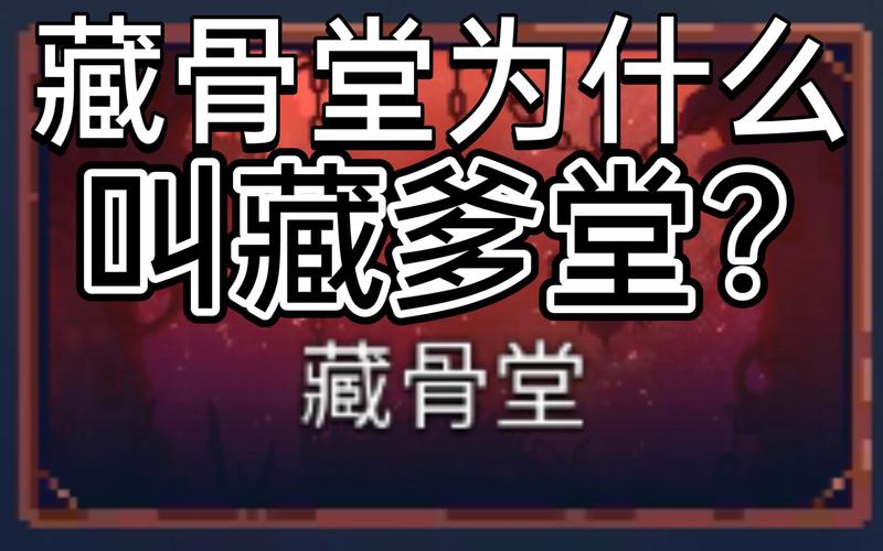 藏骨堂最全游戏攻略解说_藏骨堂最新游戏技巧通关