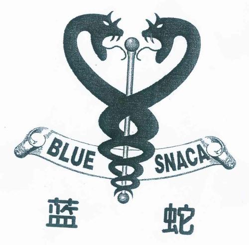 蓝蛇最全游戏攻略解说_蓝蛇最新游戏技巧通关