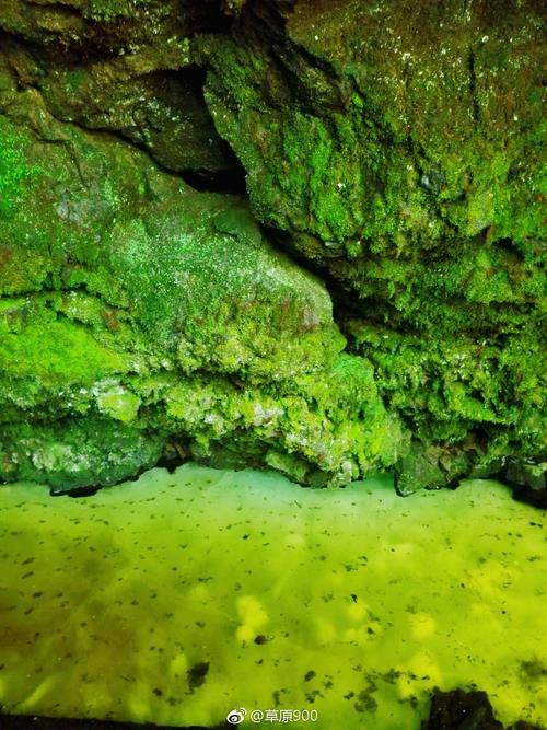 地下森林逃跑手游下载_地下森林逃跑官网下载_手机安卓苹果app