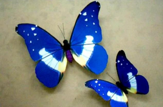 蓝冰蝶最全游戏攻略解说_蓝冰蝶最新游戏技巧通关