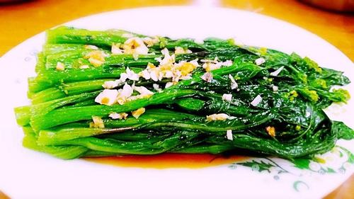 蒜蓉时蔬最全游戏攻略解说_蒜蓉时蔬最新游戏技巧通关