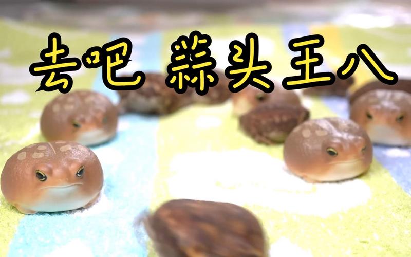 蒜头王八最全游戏攻略解说_蒜头王八最新游戏技巧通关