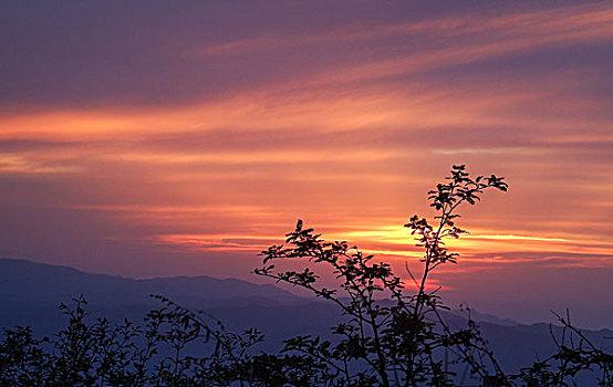 落日山脉全流程攻略_落日山脉隐藏要素收集