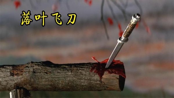 落叶飞刀游戏攻略_落叶飞刀技能学习通关技巧