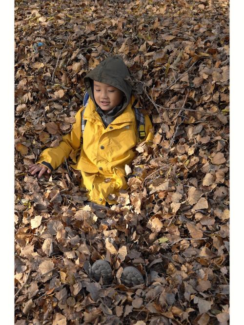 落叶之秋最全游戏攻略解说_落叶之秋最新游戏技巧通关