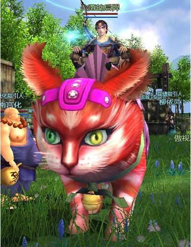 萝莉猫最全游戏攻略解说_萝莉猫最新游戏技巧通关