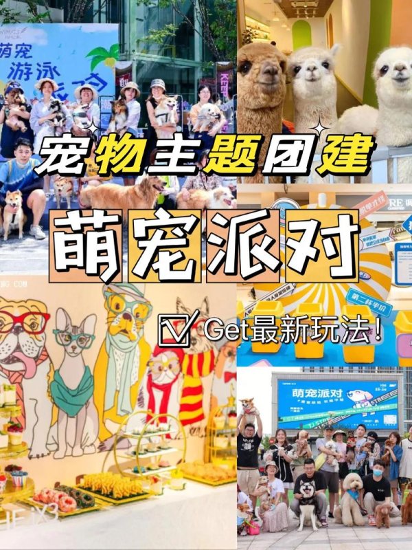 萌宠派对最全游戏攻略解说_萌宠派对最新游戏技巧通关