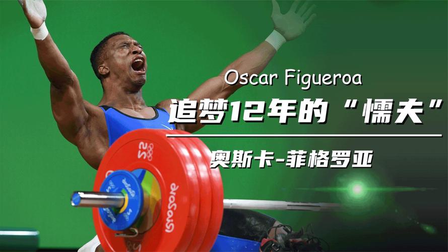 菲格罗亚最全游戏攻略解说_菲格罗亚最新游戏技巧通关