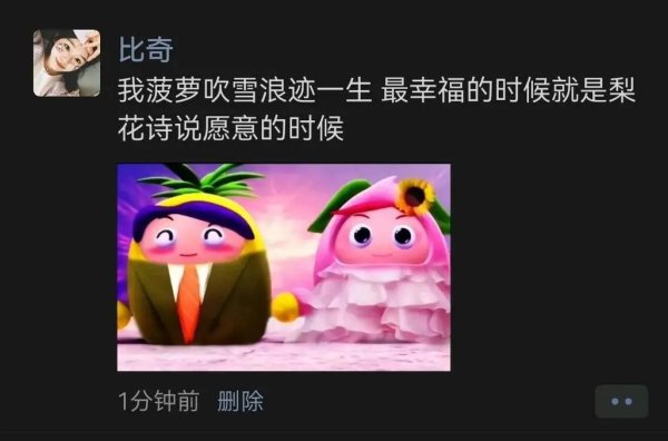 菠萝吹雪和梨花诗最全游戏攻略解说_菠萝吹雪和梨花诗最新游戏技巧通关