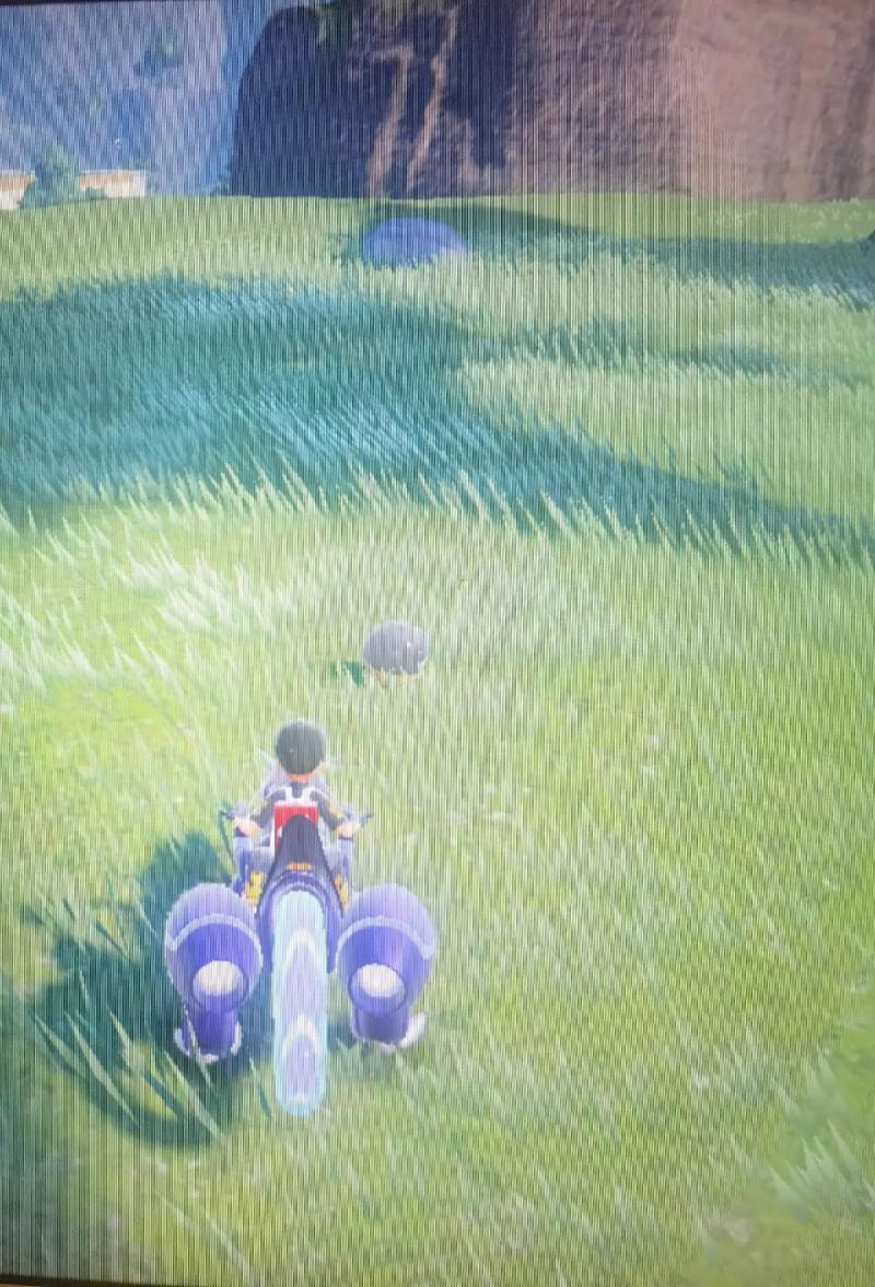 菊草叶最全游戏攻略解说_菊草叶最新游戏技巧通关