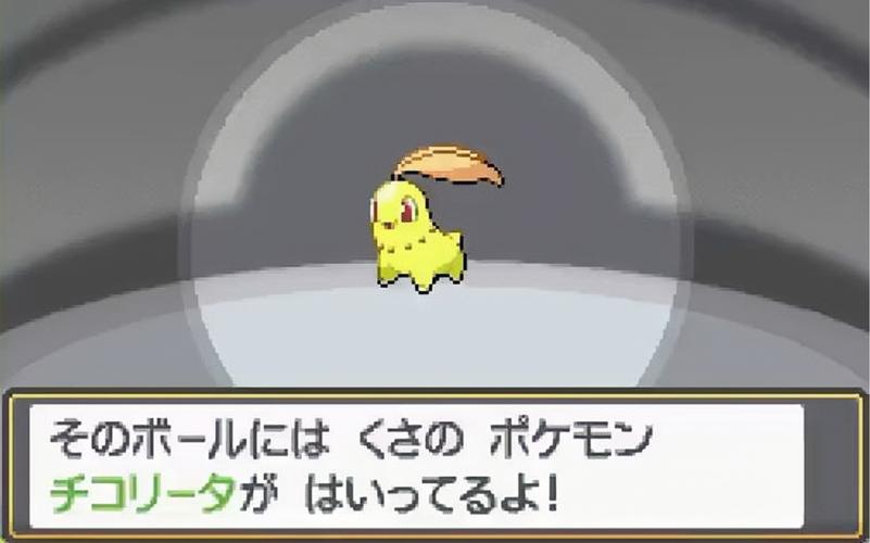 菊草叶最全游戏攻略解说_菊草叶最新游戏技巧通关