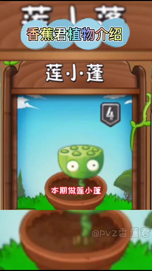 莲小蓬最全游戏攻略解说_莲小蓬最新游戏技巧通关