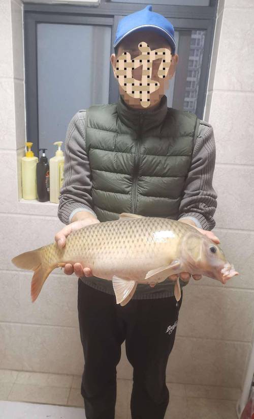 荷花鲤最全游戏攻略解说_荷花鲤最新游戏技巧通关