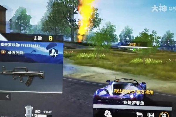 荒野行动pc最全游戏攻略解说_荒野行动pc最新游戏技巧通关