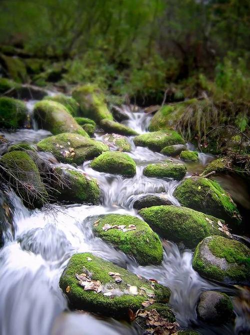 地下森林逃跑手游下载_地下森林逃跑官网下载_手机安卓苹果app
