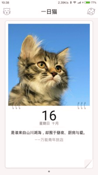 一日猫手机版下载_一日猫安卓版下载