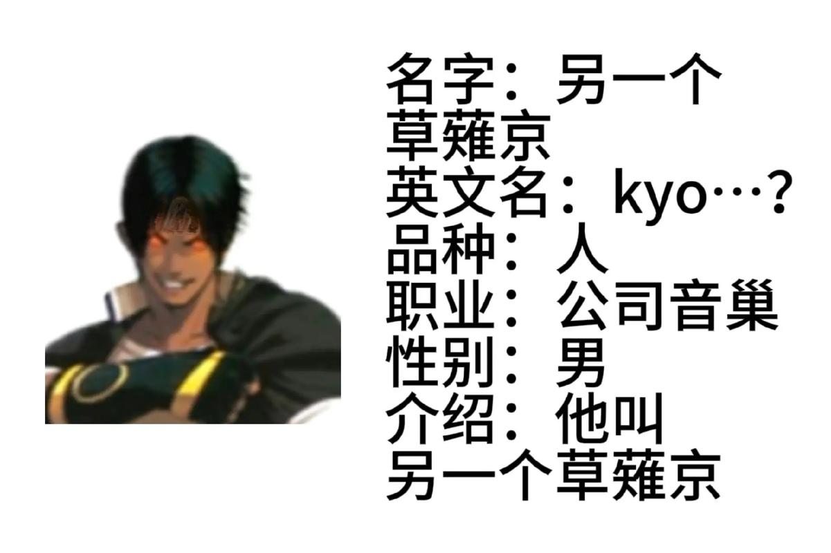 草稚京最全游戏攻略解说_草稚京最新游戏技巧通关