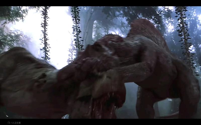 荆棘龙最全游戏攻略解说_荆棘龙最新游戏技巧通关