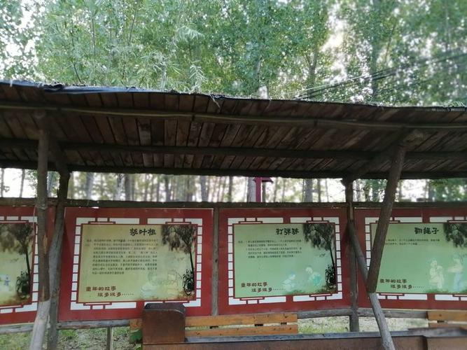 苍林最全游戏攻略解说_苍林最新游戏技巧通关