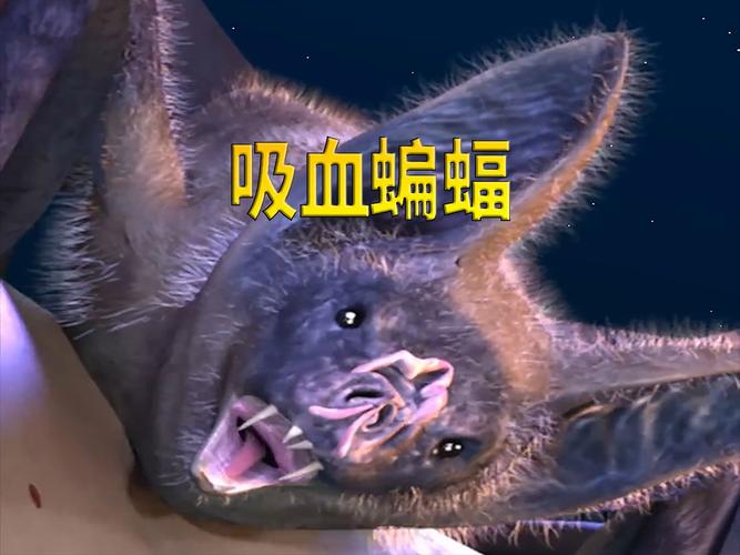 吸血蝙蝠的情人节游戏下载_吸血蝙蝠的情人节官网下载_手机安卓苹果app