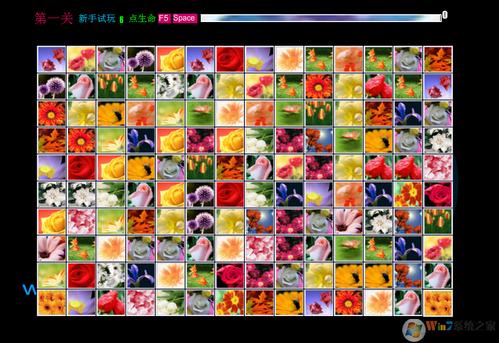 花花连连看最全游戏攻略解说_花花连连看最新游戏技巧通关