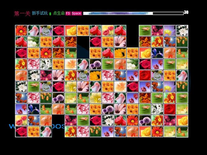 花花连连看最全游戏攻略解说_花花连连看最新游戏技巧通关