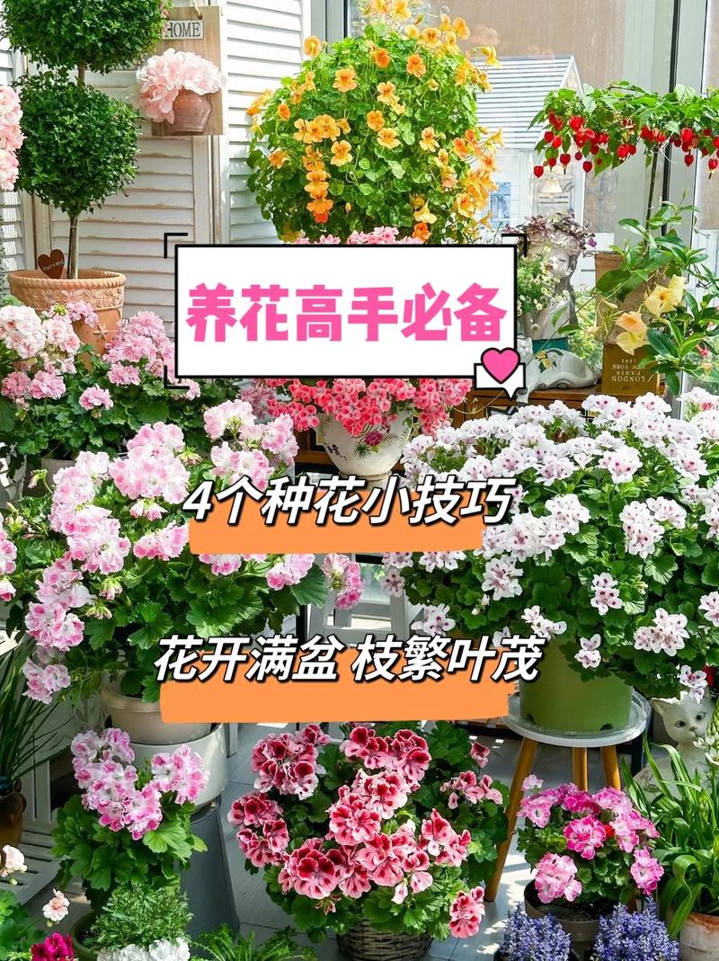 花种全流程攻略秘籍_花种最新玩法技巧汇总