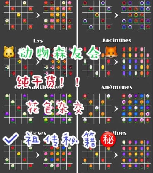 花种全流程攻略秘籍_花种最新玩法技巧汇总