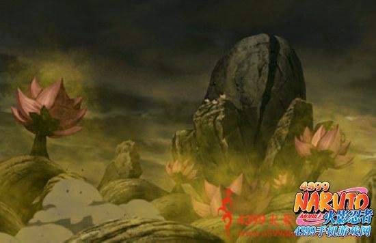 花树界降临全流程攻略秘籍_花树界降临新手入门到高手进阶