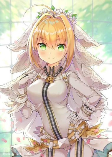 花嫁尼禄最全游戏攻略解说_花嫁尼禄最新游戏技巧通关