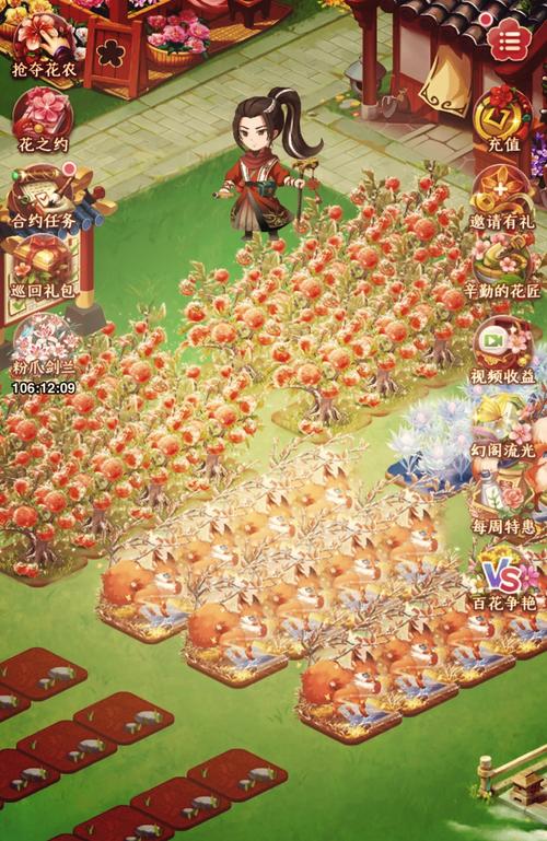 花园的秘密最全游戏攻略解说_花园的秘密最新游戏技巧通关