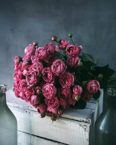 花呆最全游戏攻略解说_花呆最新游戏技巧通关