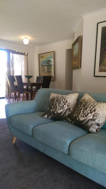 艾米斯最全游戏攻略解说_艾米斯最新游戏技巧通关