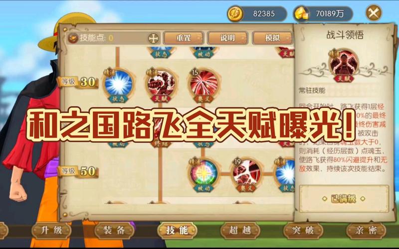 航海王燃烧意志全角色培养攻略_航海王燃烧意志战斗技巧与阵容搭配