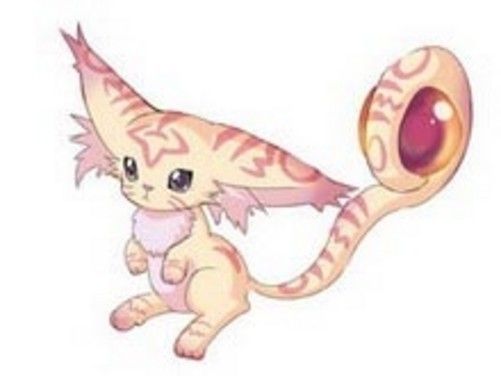 舍利猫最全游戏攻略解说_舍利猫最新游戏技巧通关