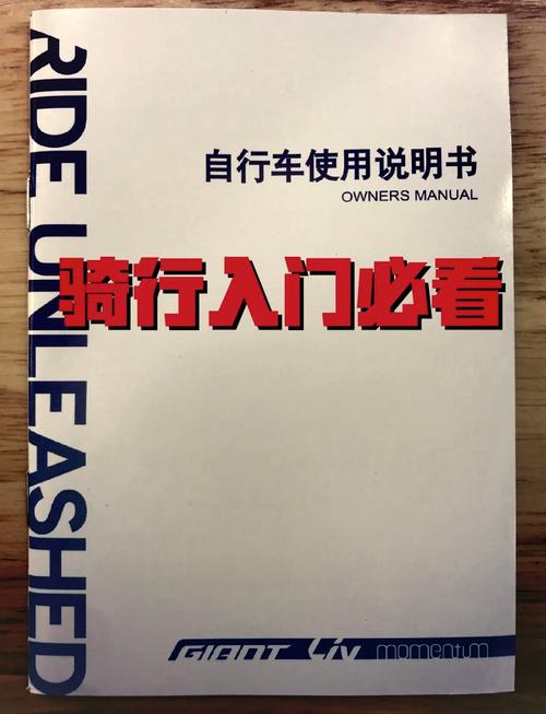 自行车游戏最全攻略解说_自行车游戏最新技巧通关