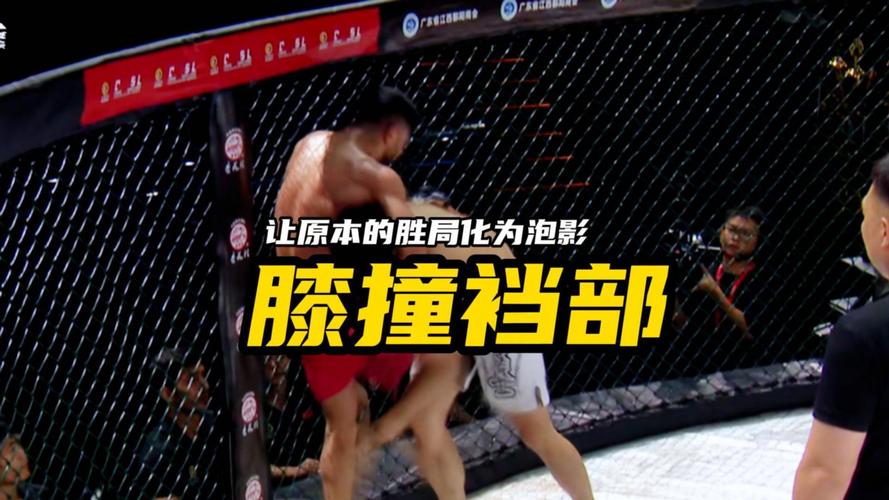 膝撞游戏最全攻略解说_膝撞游戏最新技巧通关