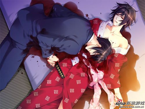 腐女游戏最全攻略解说_腐女游戏最新技巧通关