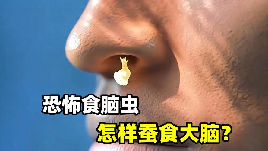 脑虫最全游戏攻略解说_脑虫最新游戏技巧通关